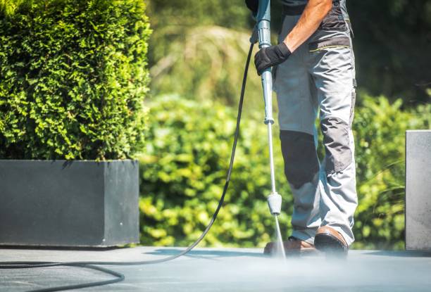 Solar Panel Cleaning in Coosada, AL